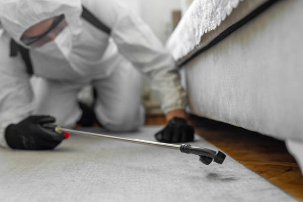 Professional Termite Control technician working in St. Martins, MO