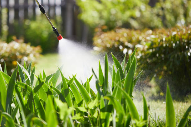 24/7 Emergency Termite Control experts in St. Martins, MO